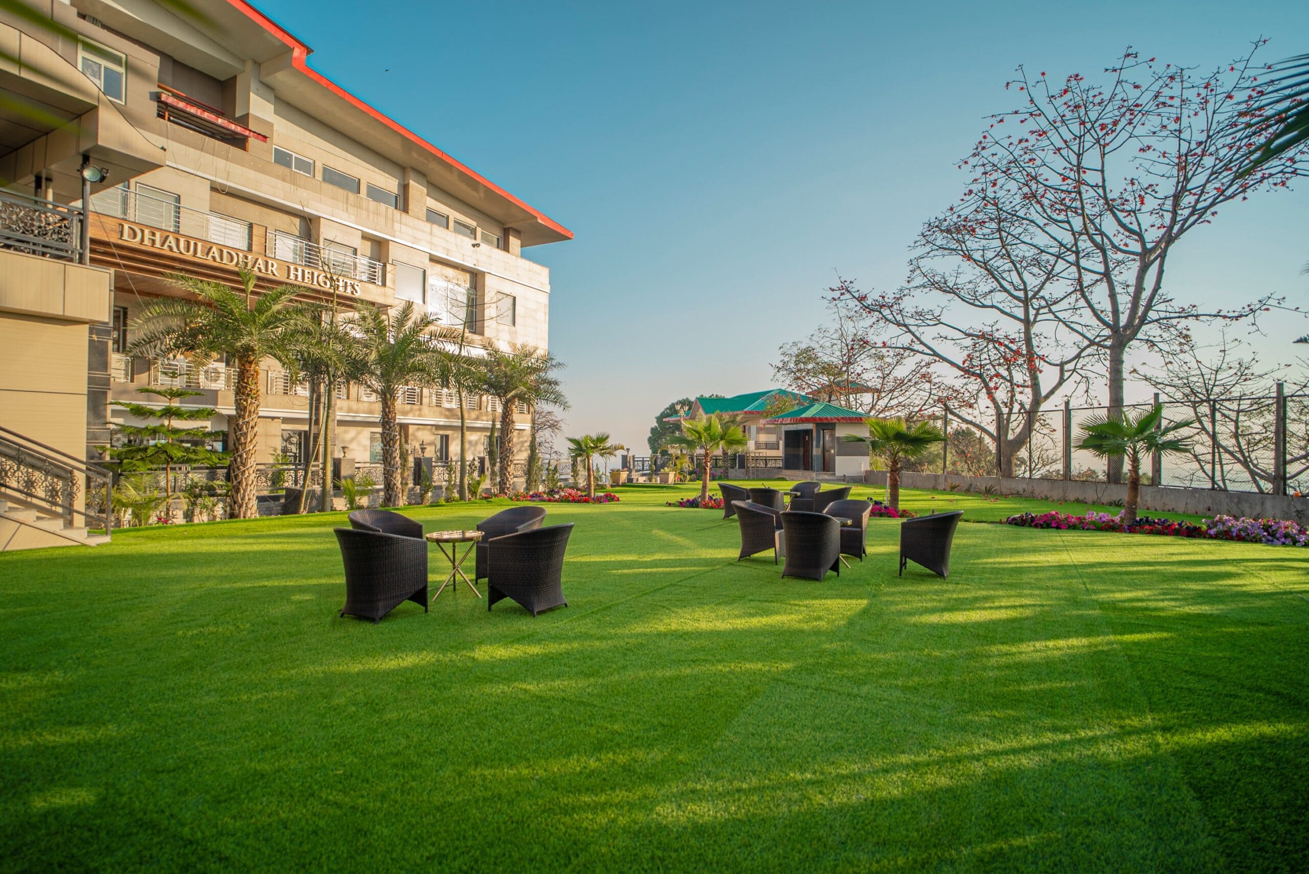 Garden Green Lawn 1